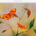 Adobe’un iPad Çizim Uygulamasının Adı Adobe Fresco Olacak