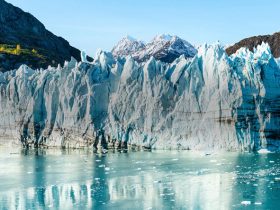Alaska'da Sıcaklık, Can Kayıplarına Sebep Oluyor