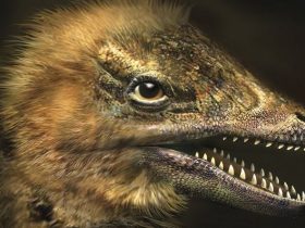 Birkaç Yıl İçinde Dinozorlar Gerçek Olacak