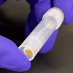 Dijital Verileri DNA'lara Yüklemenin Yolu Bulundu