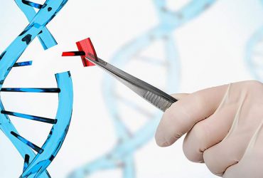 Gen Düzenleme Sayesinde Süper Güçlere Sahip Olabiliriz