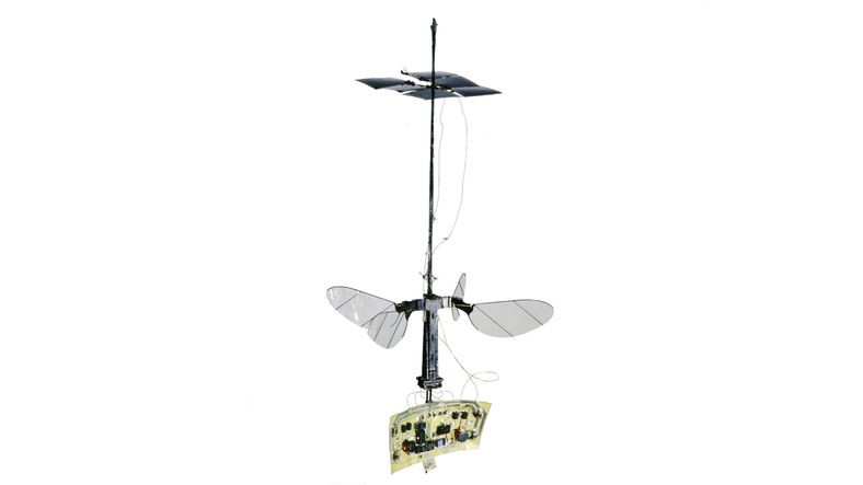 Güneşten Güç Alan Robot Arı: RoboBee X-Wing (Video)