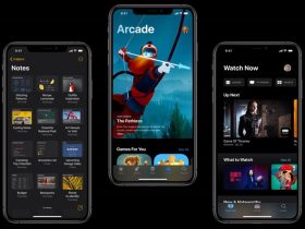 iOS 13 Public Beta Nasıl İndirilir? (iPhone)