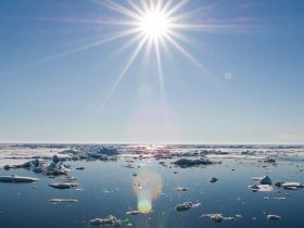 Kanada'daki Buzlar, Beklenenden 70 Yıl Erken Erimeye Başladı