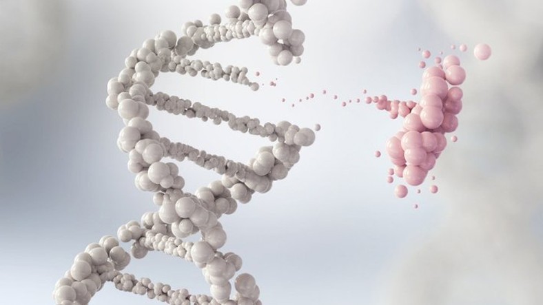 Lupus Hastalığına Mutasyona Uğramış Genler Neden Oluyor