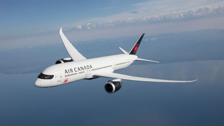 Uyuyakalan Air Canada Yolcusu, Uçakta Unutuldu