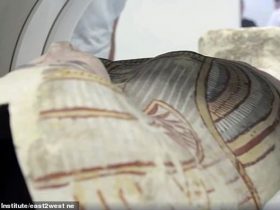 3000 Yıldır Bozulmayan Mumya Saçının Sırrı Belli Oldu
