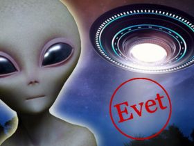 51. Bölge İstilası Etkinliğinde Ne Olur? (Anket)