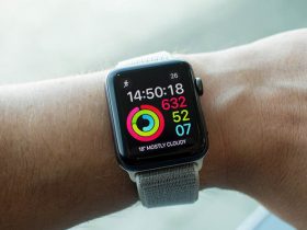 Apple, Güvenlik Açığı İçeren Uygulamasını Devre Dışı Bıraktı