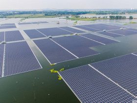 Çin, Yenilenebilir Enerjiyle 7 Milyar Dolar Tasarruf Etti