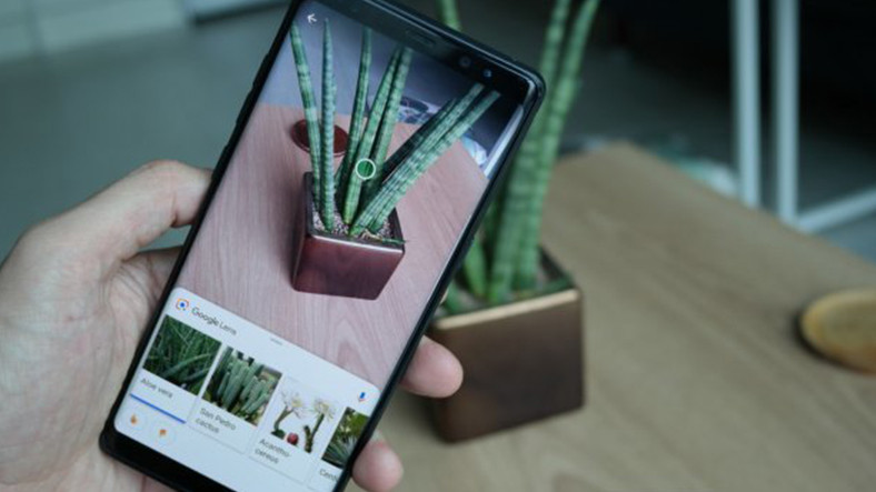 Google Lens Artık Sanat Tabloları Hakkında Bilgi Veriyor