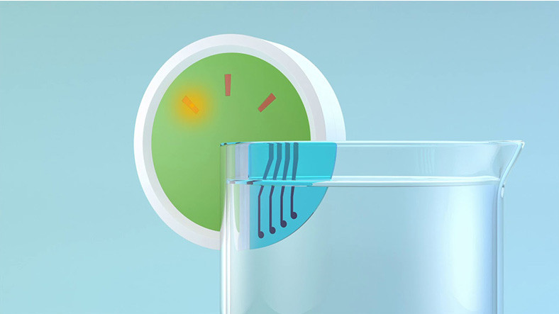 IBM, Elektronik Dili Hypertaste’te Yapay Zekayı Kullanıyor