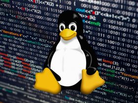 Linus Torvalds, Linux Kernel 5.2'yi Resmen Duyurdu