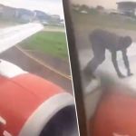 Nijeryalı Adam Uçağın Kanadına Binip Seyahat Etmeye Çalıştı