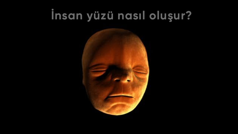 Okulda Görme İhtimalinin Çok Düşük Olduğu 10 Bilimsel Gerçek