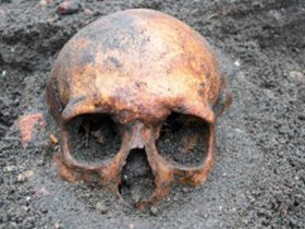 Yunanistan'da 210 Bin Yıllık Homo Sapiens Fosili Bulundu