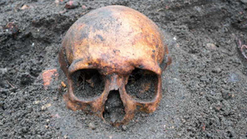 Yunanistan'da 210 Bin Yıllık Homo Sapiens Fosili Bulundu