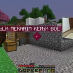 Minecraft Hayatta Kalma Stratejileri
