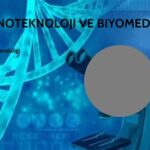 Nanoteknoloji ve Biyomedikal Uygulamaları